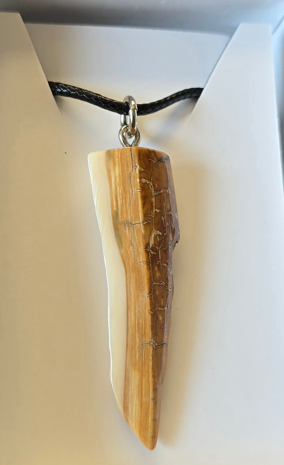 Fossil Mammoth lvory Beachcomber's Necklace