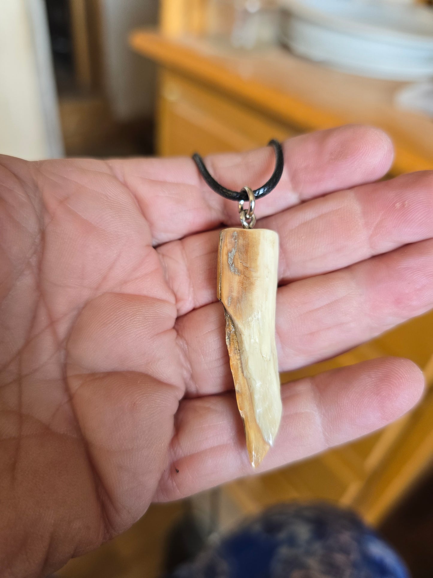 Fossil Mammoth lvory Beachcomber's Necklace