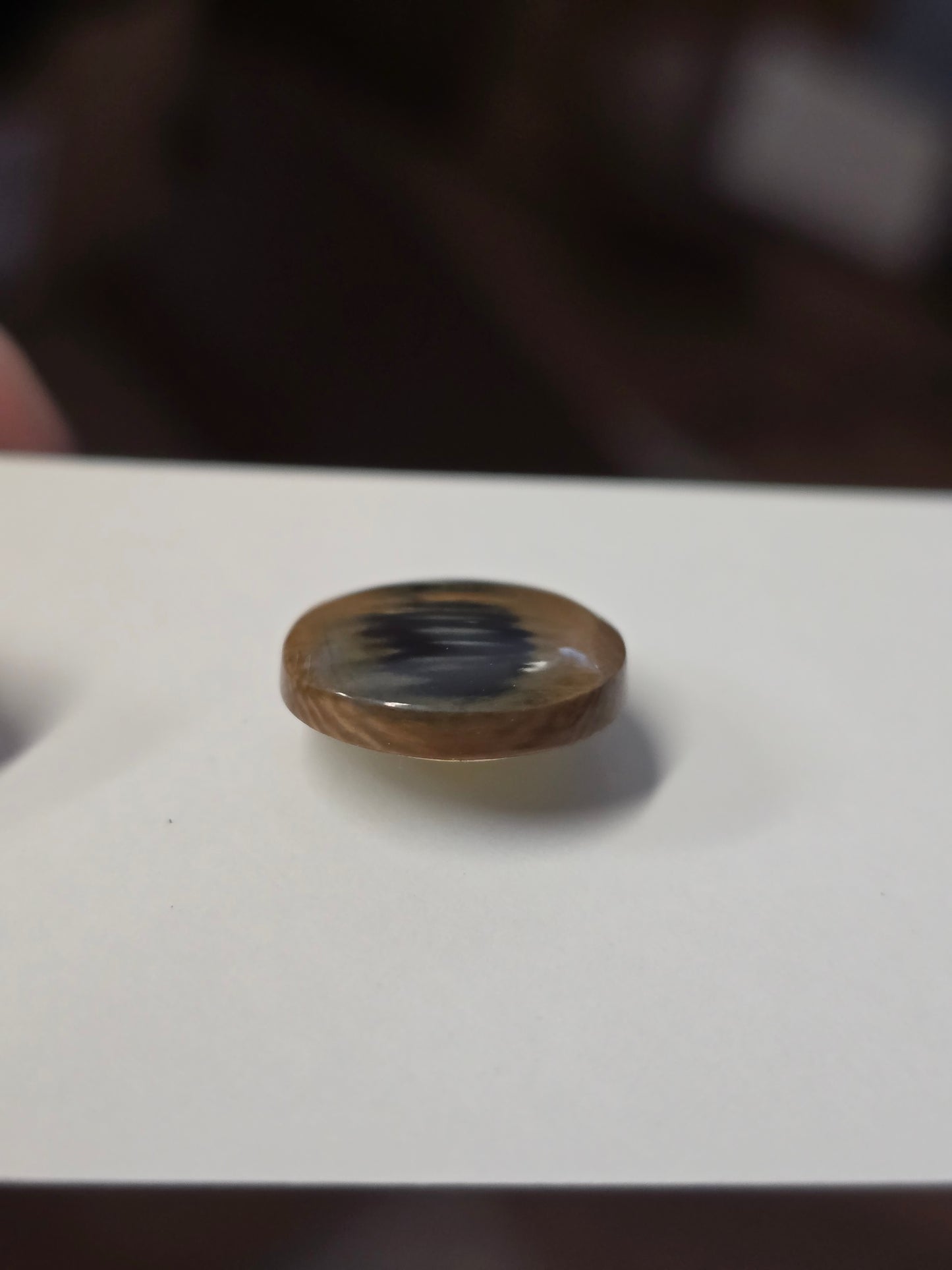 Fossil Mammoth Ivory Tie Tack