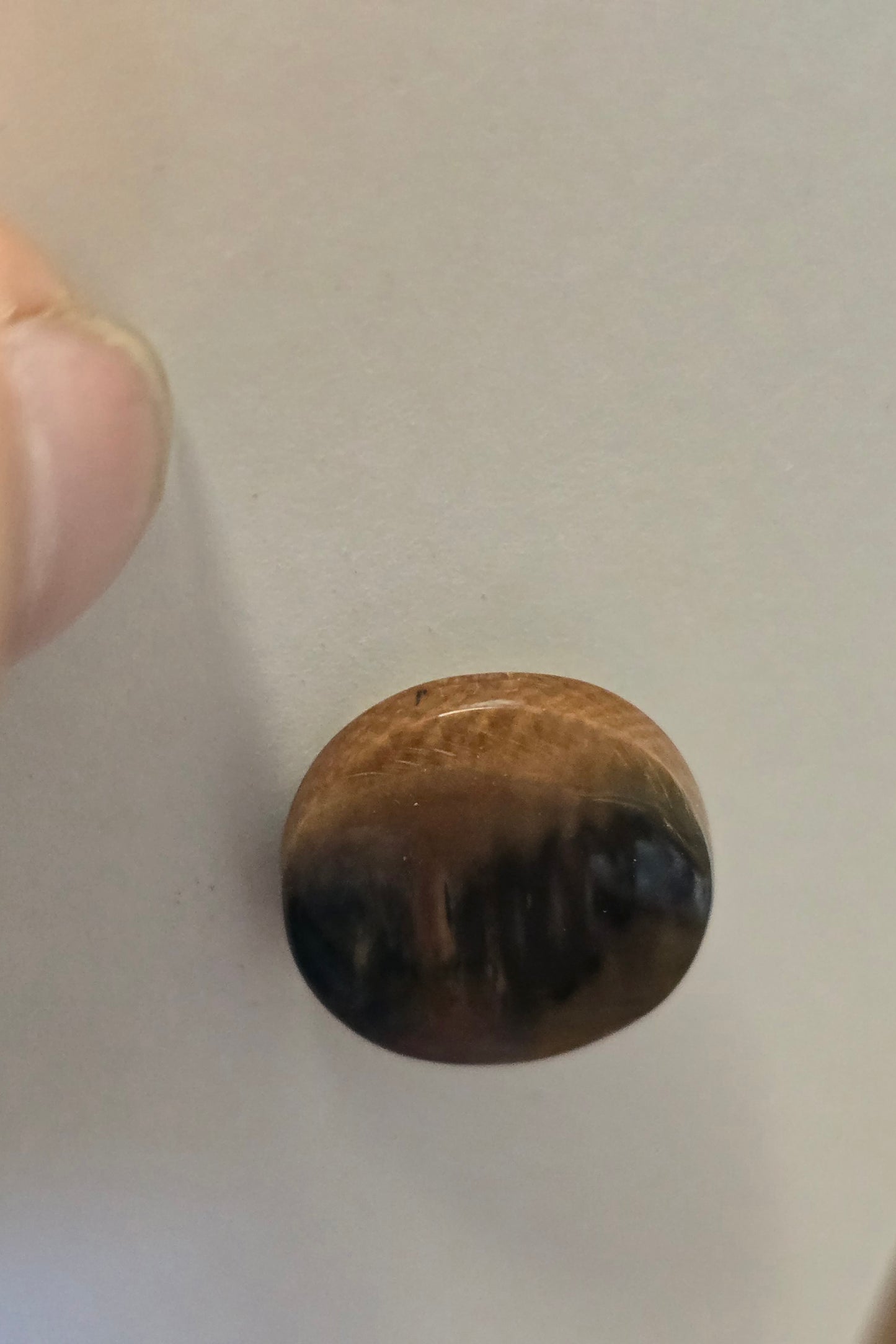 Fossil Mammoth Ivory Tie Tack