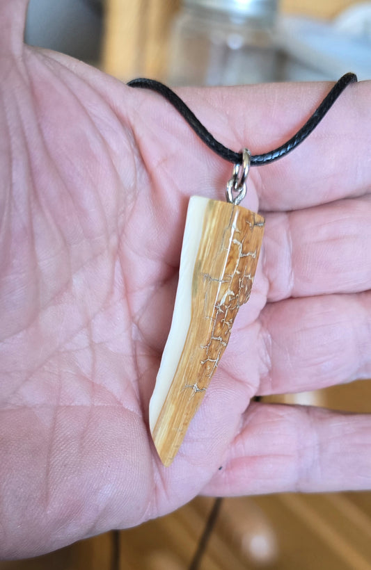 Fossil Mammoth lvory Beachcomber's Necklace