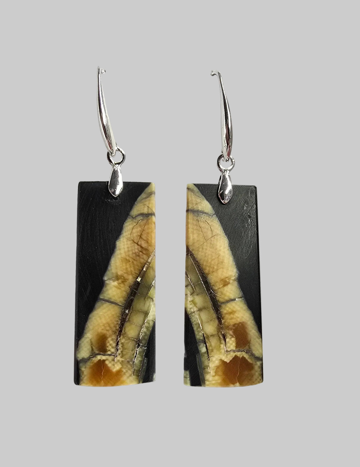 Fossil Mammoth lvory  Shard Silver Earrings