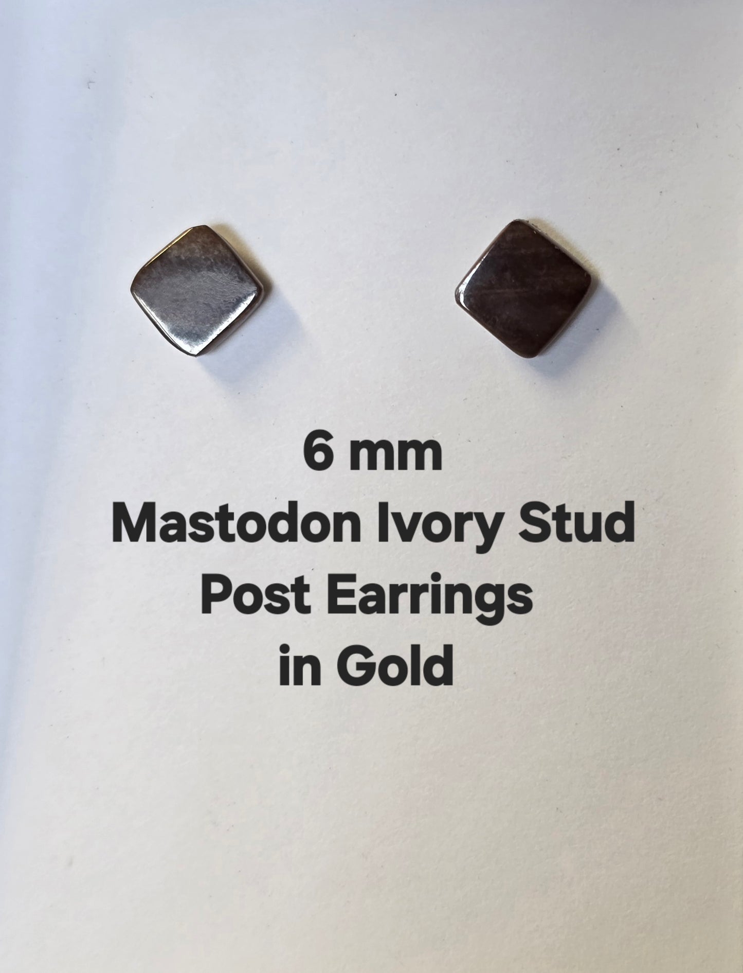 6mm Mastodon Ivory Stud Post Earrings