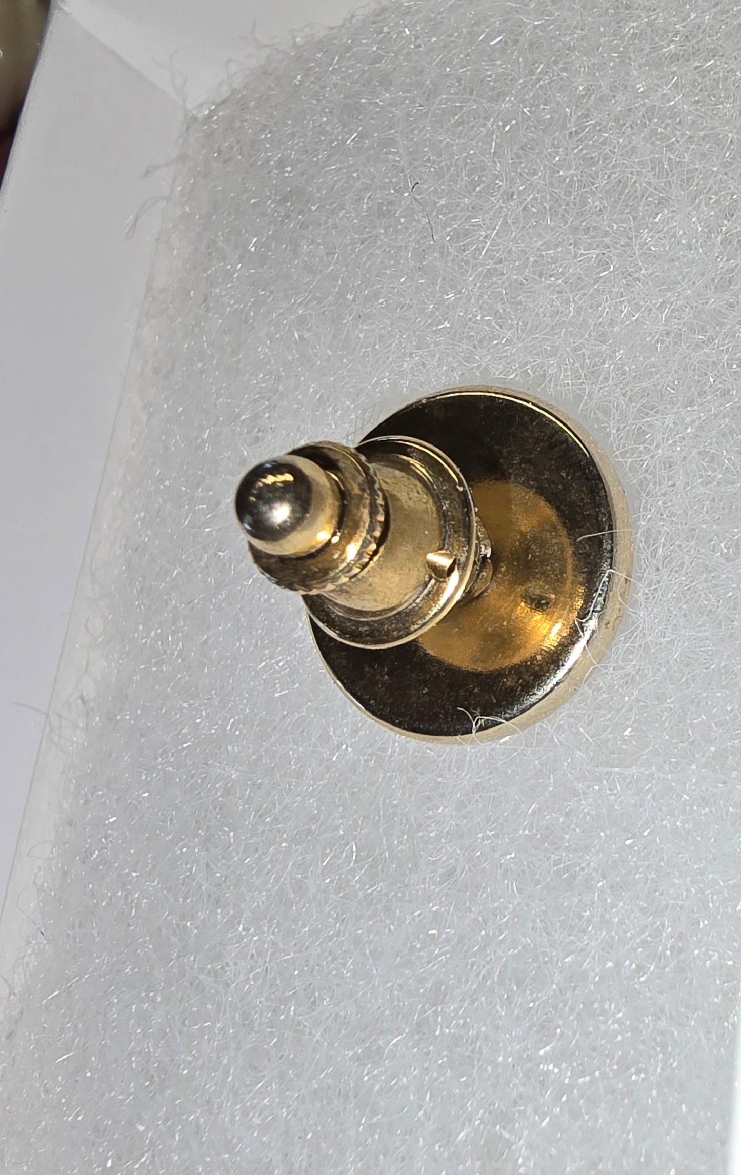 Fossil Mammoth Tooth Tie Tack