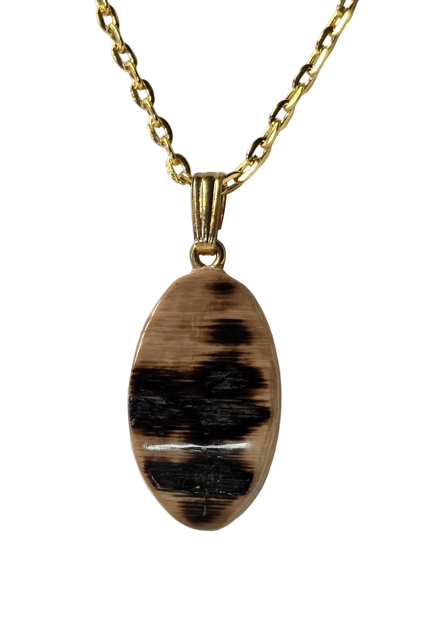 Outer Shell Fossil Mammoth Ivory Necklace