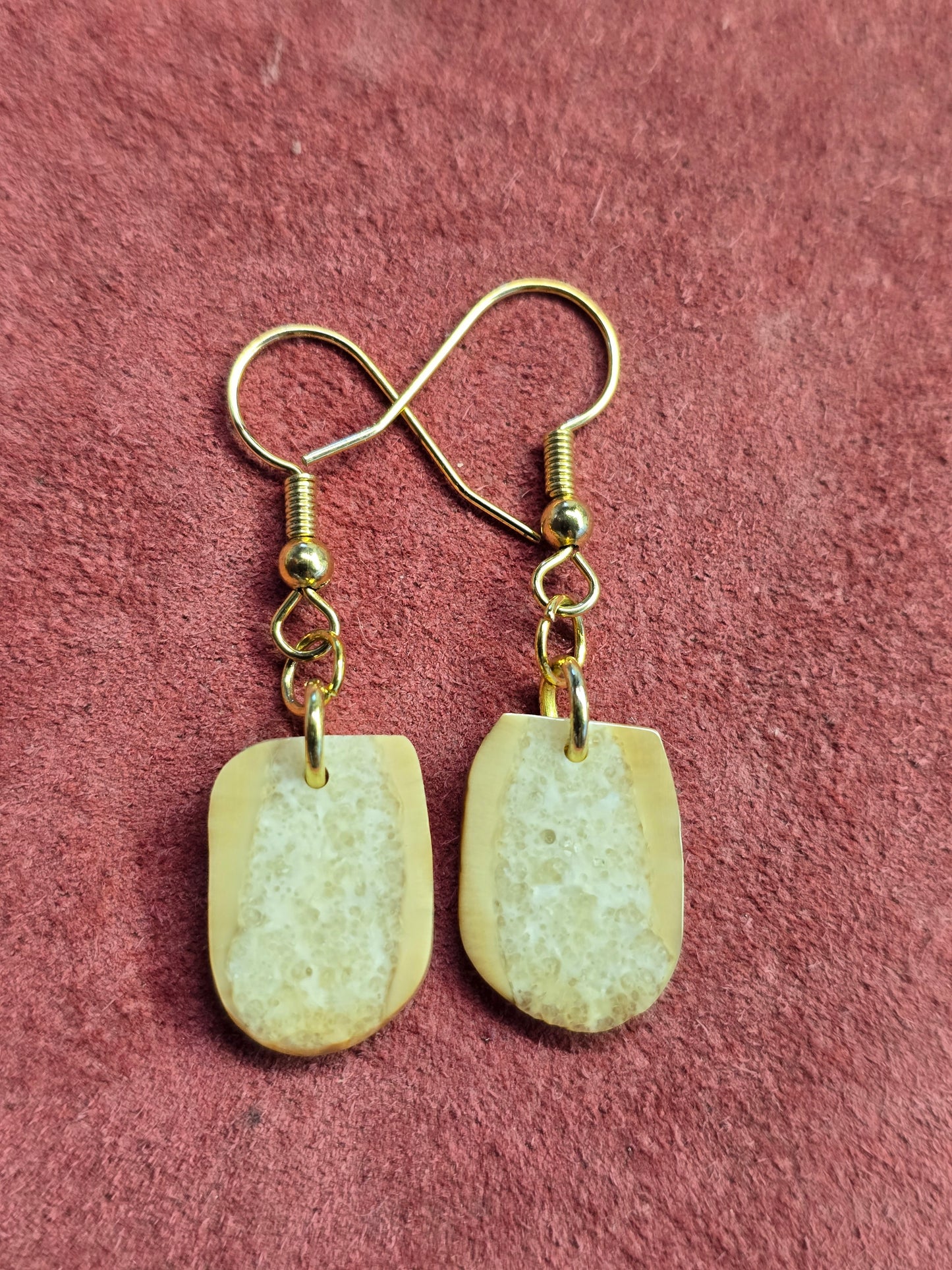 Delicate Fossil Walrus Ivory Earrings