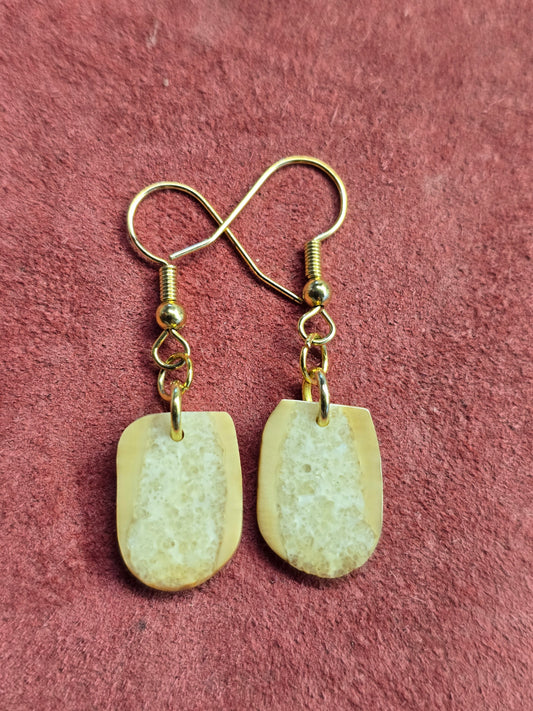 Delicate Fossil Walrus Ivory Earrings