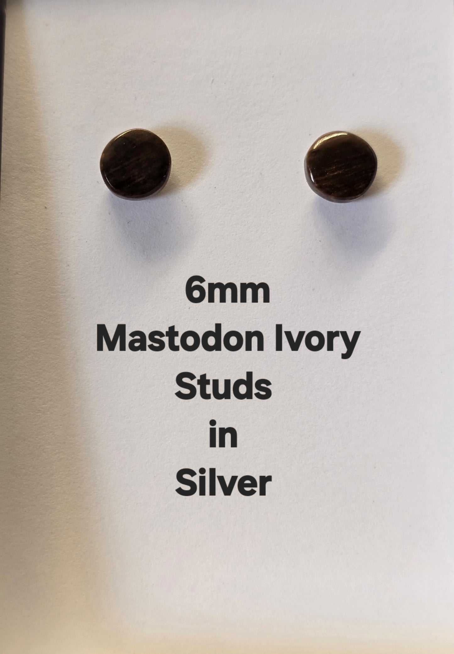 6mm Mastodon Ivory Stud Post Earrings in Silver