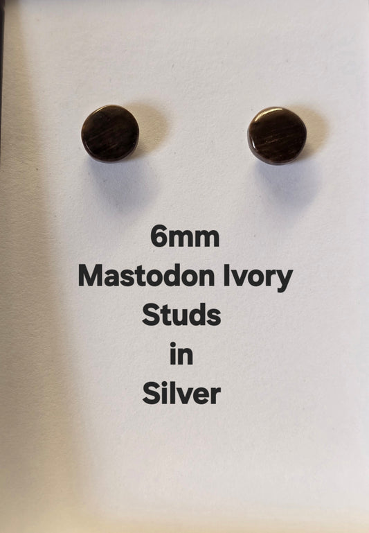 6mm Mastodon Ivory Stud Post Earrings in Silver